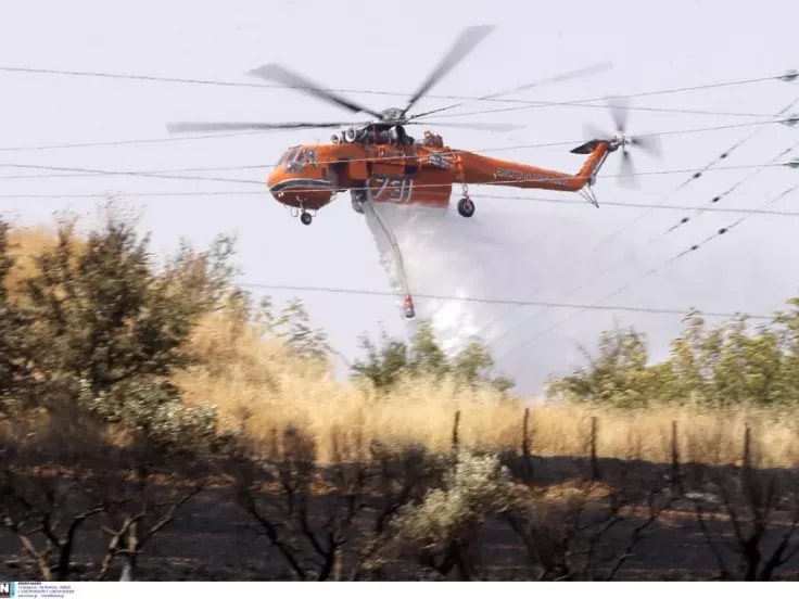 Pezhula’da Tarım ve Ormanlık Alanda Büyük Yangın – Hava Araçlarının Desteği Gerekli Oldu