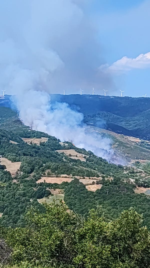 RODOPİ DAĞLIK CHLOİ KÖYÜNDE ORMAN YANGINI